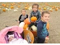 PUMPKIN PATCH 2015