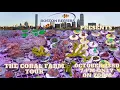 Boston Reefers Society Presents The Coral Farm of Western MA