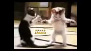 ندورا حبيبت ههههههه دندنها