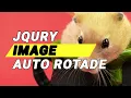 How to image auto rotede animation Jquery javascript