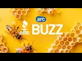 BBB Buzz Tips for hiring trustworthy contractors amid storm season