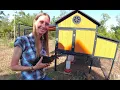Sentinel Chicken Coop Review from Tractor Supply