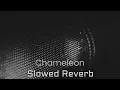 Lagu Chameleon (Slowed Reverb) Sandra N