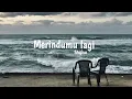 Lagu Merindumu Lagi - Khifnu (Tiktok Version)