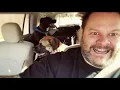 "Sometimes I Don't Mind" - Official Video (cover of The Suicide Machines)