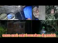 Download Lagu Suara horor merinding badai petir hujan deras air berlipah sepi bermalam di pondok.