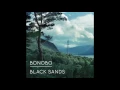 Bonobo - 10. Stay The Same ft. Andreya Triana (Black Sands)