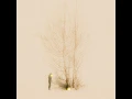 Dirt Around the Tree (feat. Brandi Carlile) - Candi Carpenter
