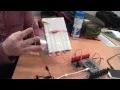 EECS 1021 Lab 1