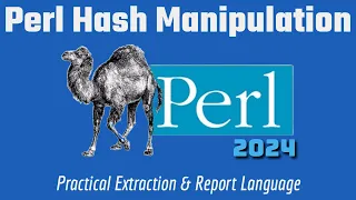 Perl Programming Hash Functions 2024