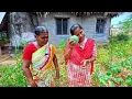 Download Lagu இதுதான் எங்கள் தோட்டம் அழகானது மட்டும்  இல்லை ஆரோக்கியம் நிரம்பியதும்😍 ||  INDIAKUTTY