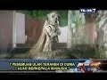Download Lagu On The Spot - 7 Penemuan Ular Teraneh di Dunia
