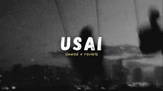 usai tiara andini slowed reverb 