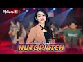 Download Lagu NUTOP ATEH Versi SELVI AYUNDA Dangdut Koplo Viral Di Tiktok
