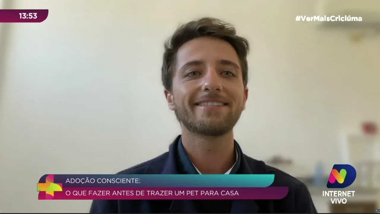 Adoção consciente: o que fazer antes de levar um animal adotado para a casa