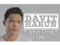 Download Lagu Davit Harun Jatuh Cinta Lirik