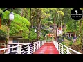 Download Lagu Lake Toba trip EP1--The Taman Simalem Resort