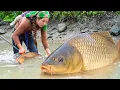 Download Lagu Harvest Giant Monster Carp from a Huge Fish Pond by Hand to Sell at the Fish Market with my Children