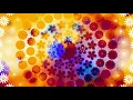4K U SCREENSAVER 2 HOURS LONG - Flower Hippie Stuff Circle Of Flowers