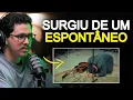 Download Lagu ALESSANDRO VILAS BOAS REVELA COMO SURGIU A MÚSICA “CRISTO” | Podcast Jesuscopy