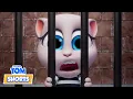 Shoe Thief 👠 Talking Tom Shorts | LIVE Cartoons for Kids