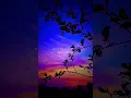Download Lagu Where Abouts (Lofi) #ktxmusic