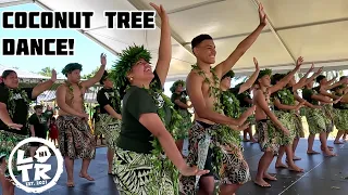 coconut tree fun dance leviatana youth aliutu niue island 2023