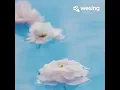 Download Lagu Wo Dui Zi Ji Kai Le Yi Qiang 我对自己开了一枪 video ini dari WeSing