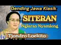 Lagu 🎵 GENDING JAWA KLASIK - SITERAN | NYI TJONDRO LOEKITO | NGLARAS NYAMLENG 🎶