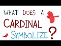 What Does It Mean When You See A Cardinal