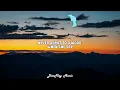 Shaggy ft Ricardo Ducent - It Wasn't Me (lyrics)