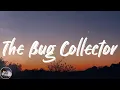 Haley Heynderickx - The Bug Collector