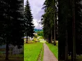 Download Lagu Welcome to amazing Špindleruv Mlyn! What would you like to do?🤩 #travel #spindleruvmlyn #czechia