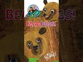 BEAR HUGS by Eric Carle Read Aloud