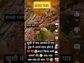 Download Lagu Sindhu laya tere Bina yaar te 🌹💔💔💓💓
