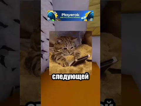 объясни попроще 233 | Прокрастинация