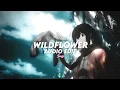Download Lagu wildflower - billie eilish (tiktok version) [edit audio]