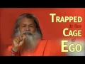 Download Lagu Trapped in the Cage of Ego