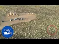 Drone shows body of wife at site where Watts dumped bodies