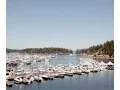 Sea Ray and Meridian Experience Cruise