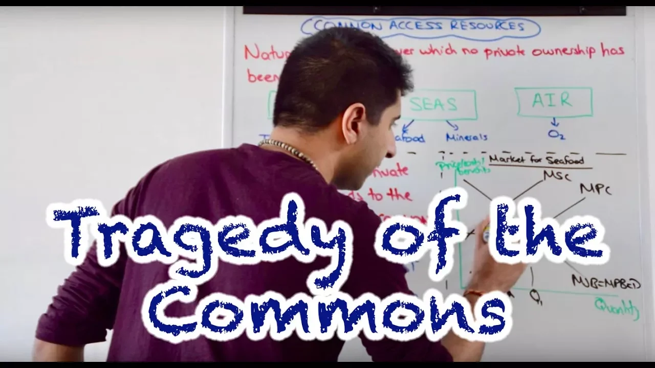 Y1 27) Common Access Resources - Tragedy of the Commons