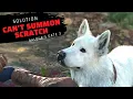 Can t summon scratch solution Baldur s gate 3