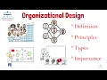 What is Organizational Design From A Business Professor