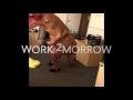 Prolosaurus wants to help get you a JOB