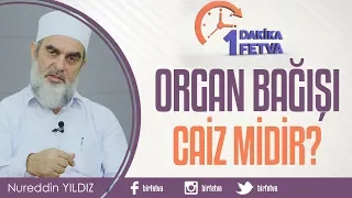 Organ bağışı caiz midir?