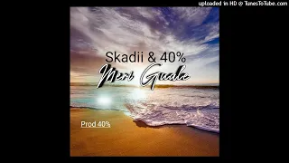 meri guale 40 u0026 skadii solo vibez playlist 2021 