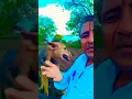 Download Lagu chal R vaghya #comedy #video #viral #whatsappstatus