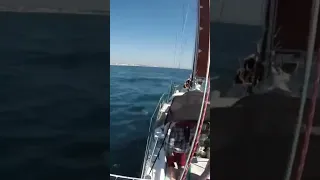 #sailing #travel #povoadevarzim #portugal