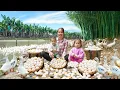 Download Lagu Where Did All These Eggs Come From? Harvesting Giant Eggs with Ms. Duong \u0026 the Kids | Village Life