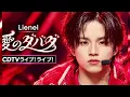 期間限定公開 | Lienel  | 愛のダバダ  | from CDTVライブ | ライブ 